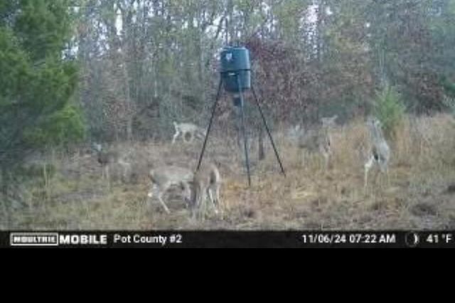 00 Okay S 40 Acres Road, Tecumseh, OK 74873