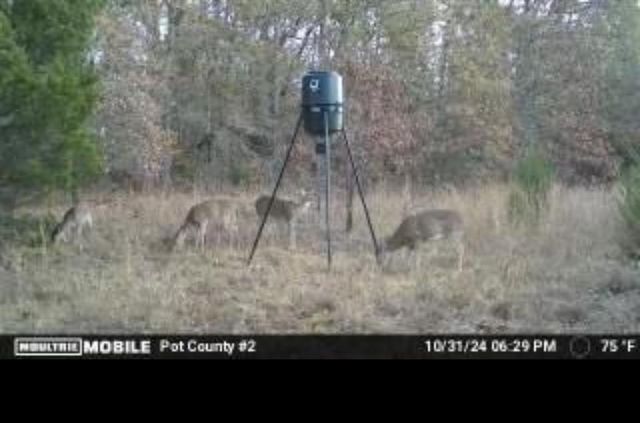 00 Okay S 40 Acres Road, Tecumseh, OK 74873