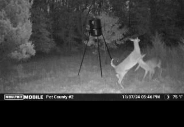 00 Okay S 40 Acres Road, Tecumseh, OK 74873