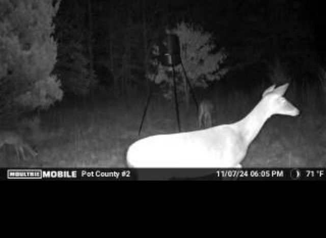 00 Okay S 40 Acres Road, Tecumseh, OK 74873