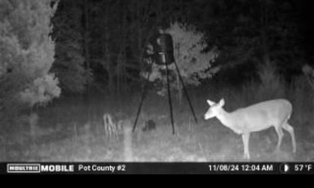 00 Okay S 40 Acres Road, Tecumseh, OK 74873