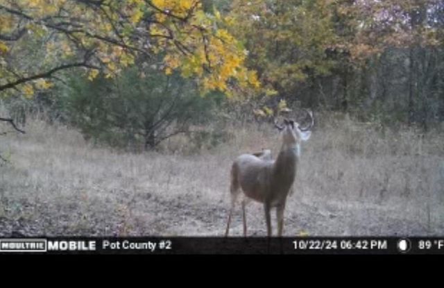 00 Okay S 40 Acres Road, Tecumseh, OK 74873