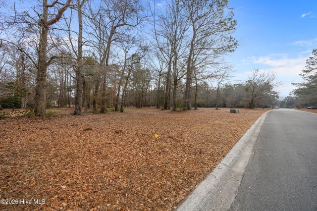 121 Maple Creek Drive, Wallace, NC 28466