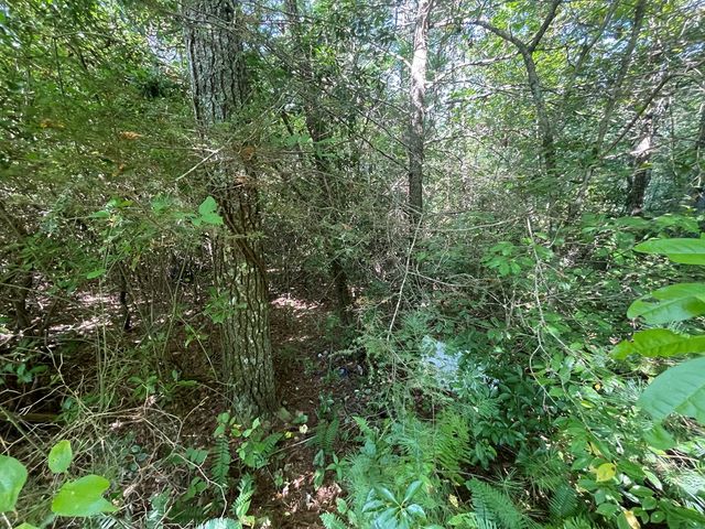 00000 Mcdonald Road, Murphy, NC 28906
