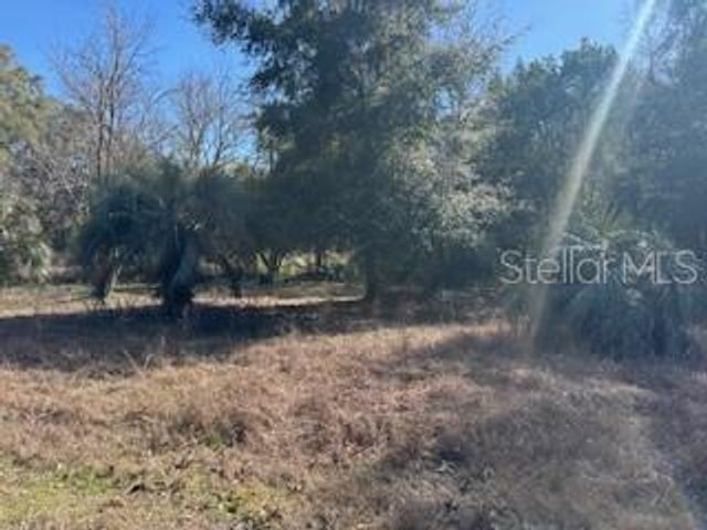 1162 E SANDY LANE, Hernando, FL 34442