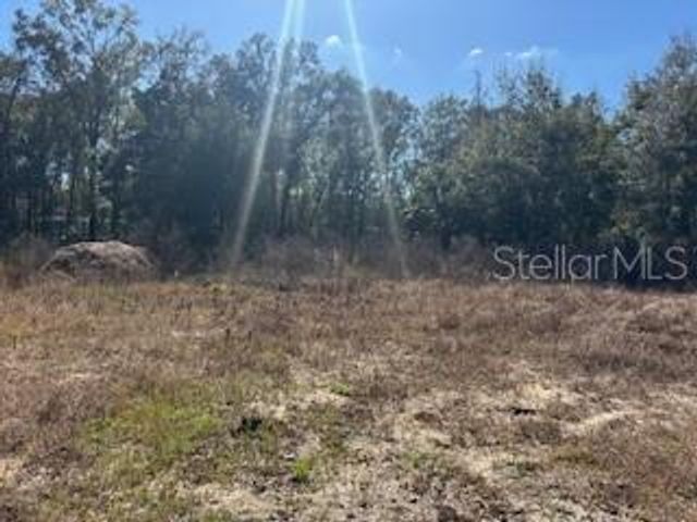 1162 E SANDY LANE, Hernando, FL 34442