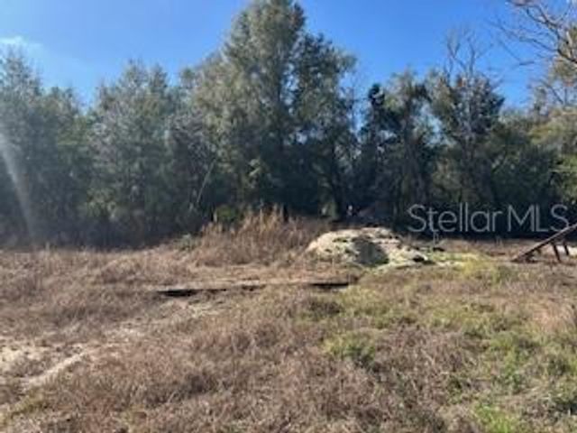 1162 E SANDY LANE, Hernando, FL 34442