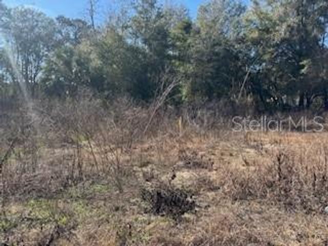 1162 E SANDY LANE, Hernando, FL 34442