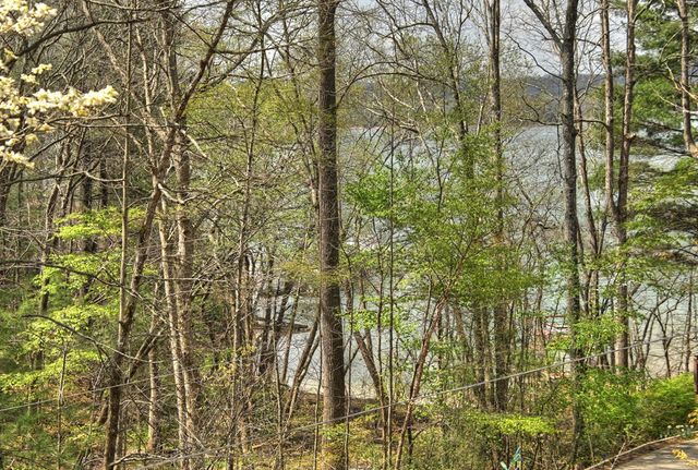 32 Lake Front, Morganton, GA 30560