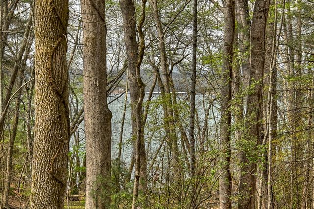 32 Lake Front, Morganton, GA 30560