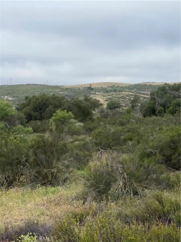 41 Melton, Hemet, CA 92544