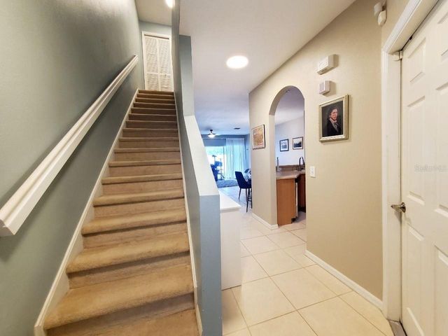 20420 NEEDLETREE DRIVE, Tampa, FL 33647