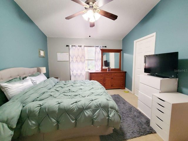 20420 NEEDLETREE DRIVE, Tampa, FL 33647