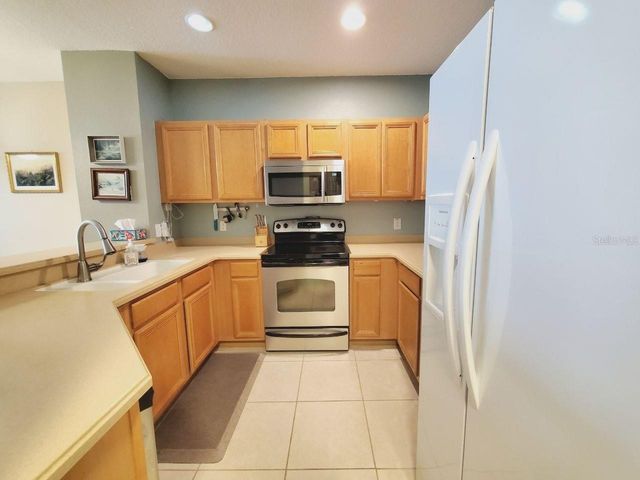20420 NEEDLETREE DRIVE, Tampa, FL 33647