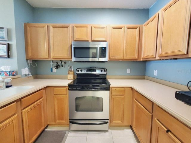 20420 NEEDLETREE DRIVE, Tampa, FL 33647