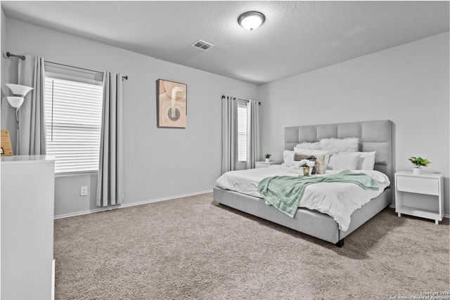 10439 Lateleaf Oak, San Antonio, TX 78223