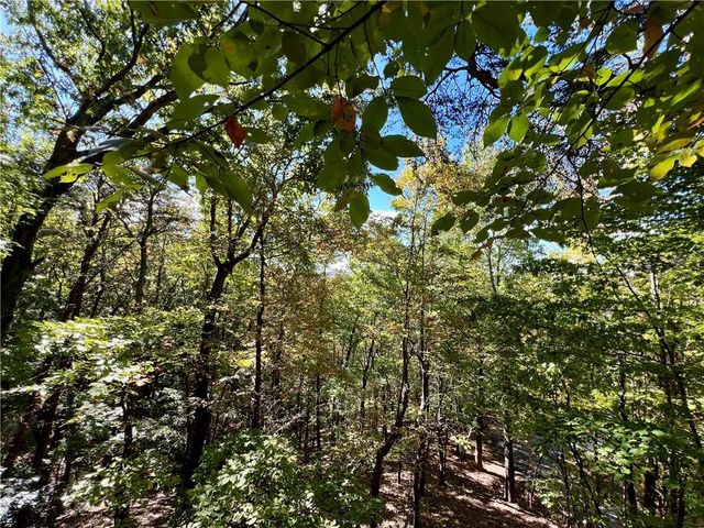 174 Sassafras Mountain Trail, Jasper, GA 30143