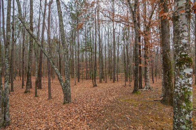 1578 Ga Highway 0208, Hamilton, GA 31811