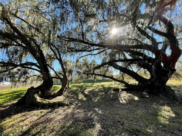 13321 OAKENSHAW LANE, Orlando, FL 32832