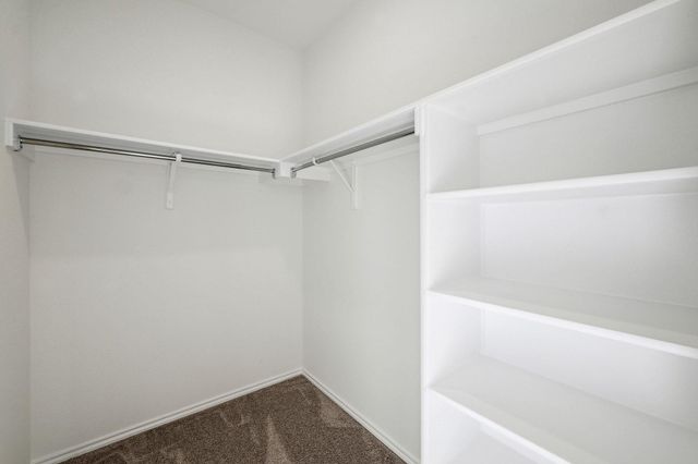12005 Salvador ST, Austin, TX 78748