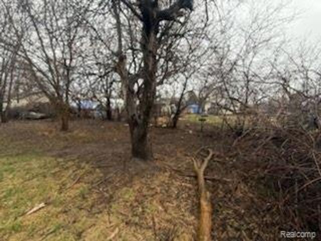 1112 Laport Avenue, Mount Morris, MI 48458