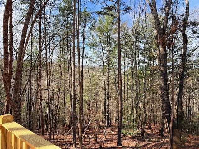 99 Noelles Pass, Murphy, NC 28906
