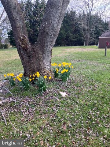 28736 STOCKLEY RD, Milton, DE 19968