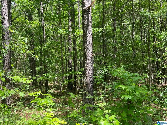 0 COUNTY ROAD 6, Piedmont, AL 36272