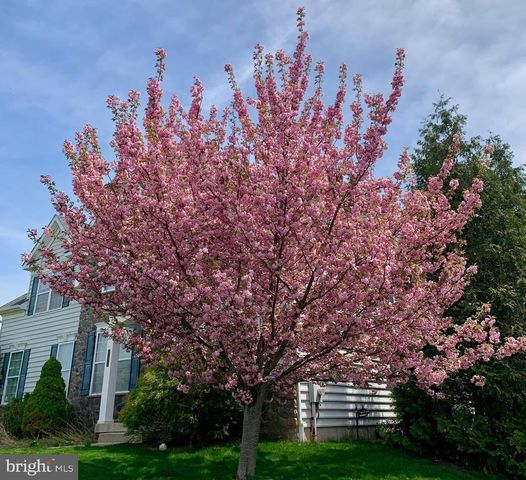 362 MEADOW LN, Telford, PA 18969