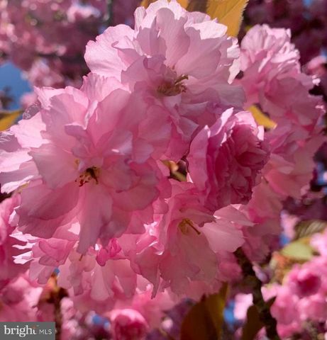 362 MEADOW LN, Telford, PA 18969