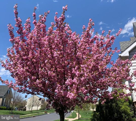 362 MEADOW LN, Telford, PA 18969