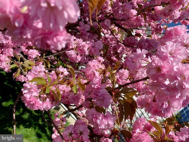 362 MEADOW LN, Telford, PA 18969