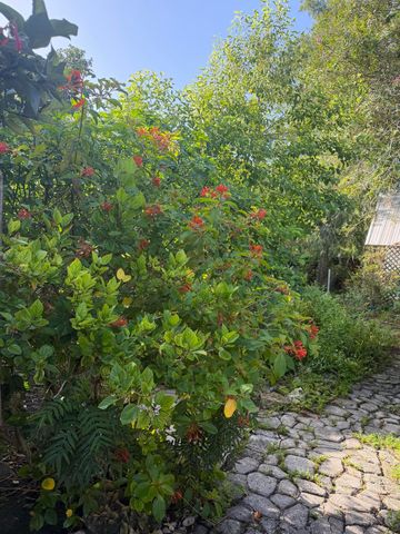 303 S DELAWARE Boulevard, Jupiter, FL 33458