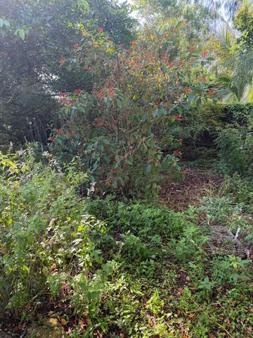 303 S DELAWARE Boulevard, Jupiter, FL 33458