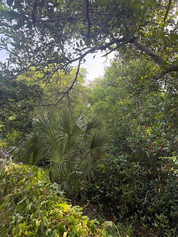 303 S DELAWARE Boulevard, Jupiter, FL 33458