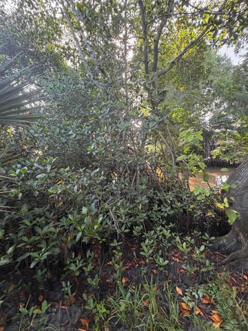 303 S DELAWARE Boulevard, Jupiter, FL 33458