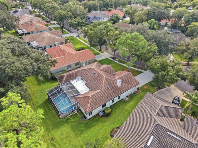 17911 HOLLY BROOK DRIVE, Tampa, FL 33647
