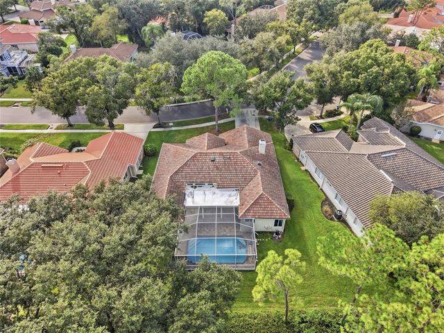 17911 HOLLY BROOK DRIVE, Tampa, FL 33647