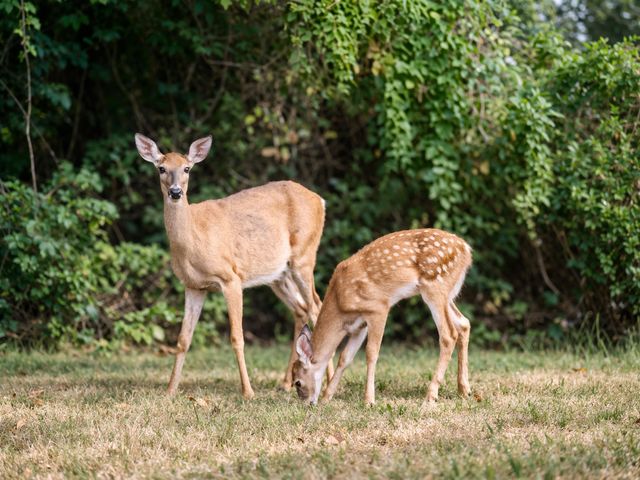 25 Emerson Road, Durham, NH 03824