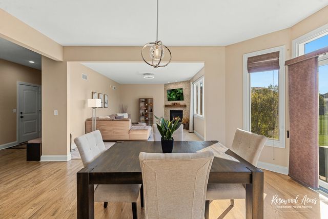 11453 Falls View Way, Frankfort, IL 60423