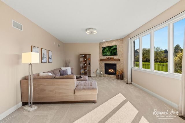 11453 Falls View Way, Frankfort, IL 60423