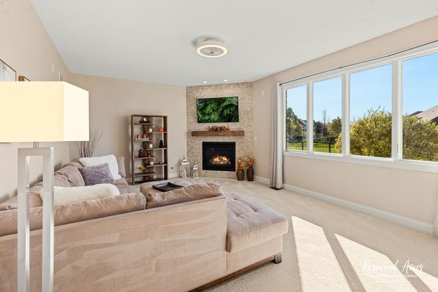 11453 Falls View Way, Frankfort, IL 60423