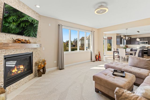 11453 Falls View Way, Frankfort, IL 60423