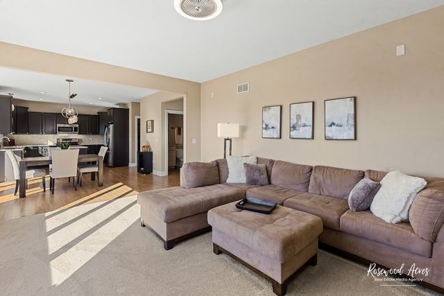 11453 Falls View Way, Frankfort, IL 60423