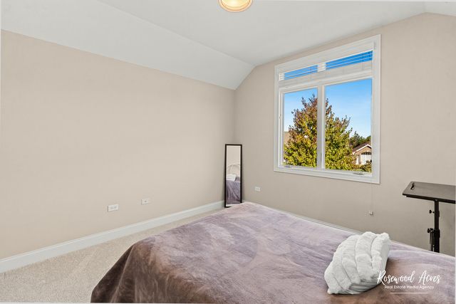 11453 Falls View Way, Frankfort, IL 60423