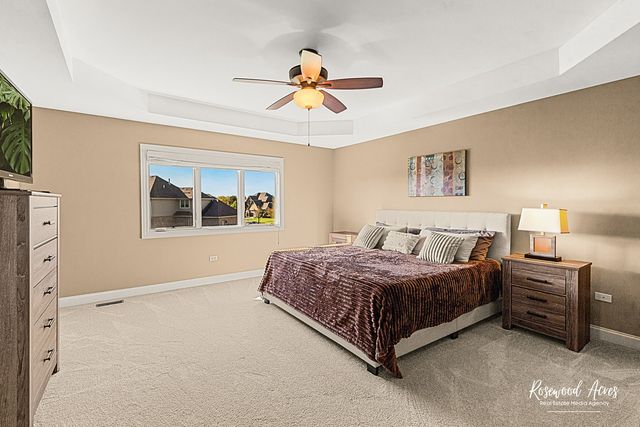 11453 Falls View Way, Frankfort, IL 60423