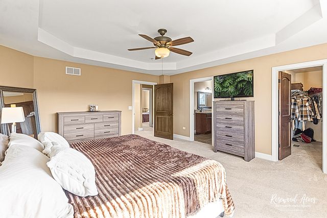 11453 Falls View Way, Frankfort, IL 60423