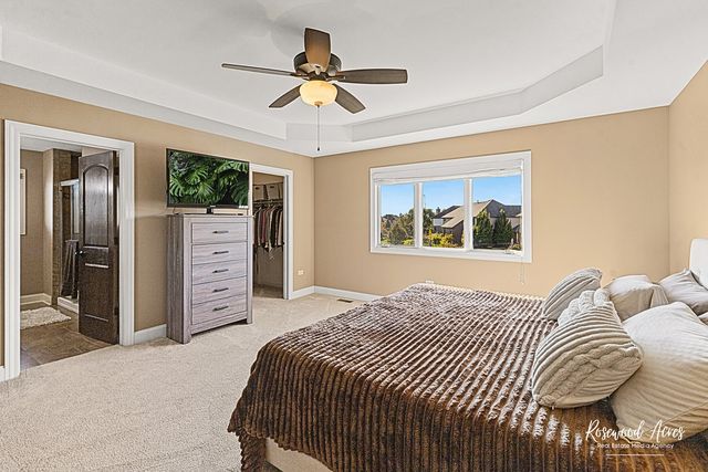 11453 Falls View Way, Frankfort, IL 60423