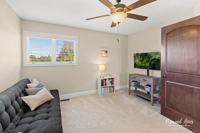 11453 Falls View Way, Frankfort, IL 60423