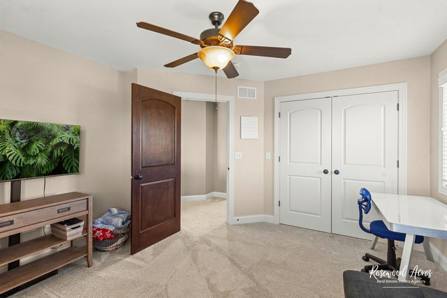 11453 Falls View Way, Frankfort, IL 60423